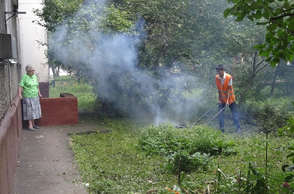 Фотография сообщества "За ТРАВУ! Против антиозеленителей!"