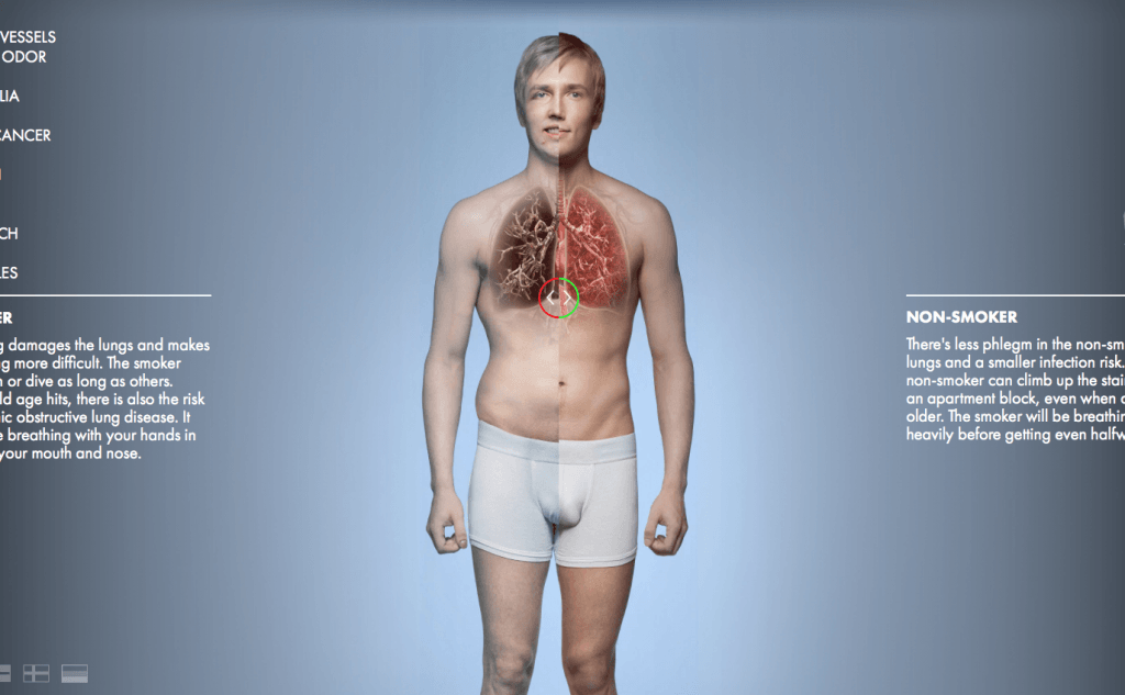 Фрагмент интерфейса сайта EcoLab