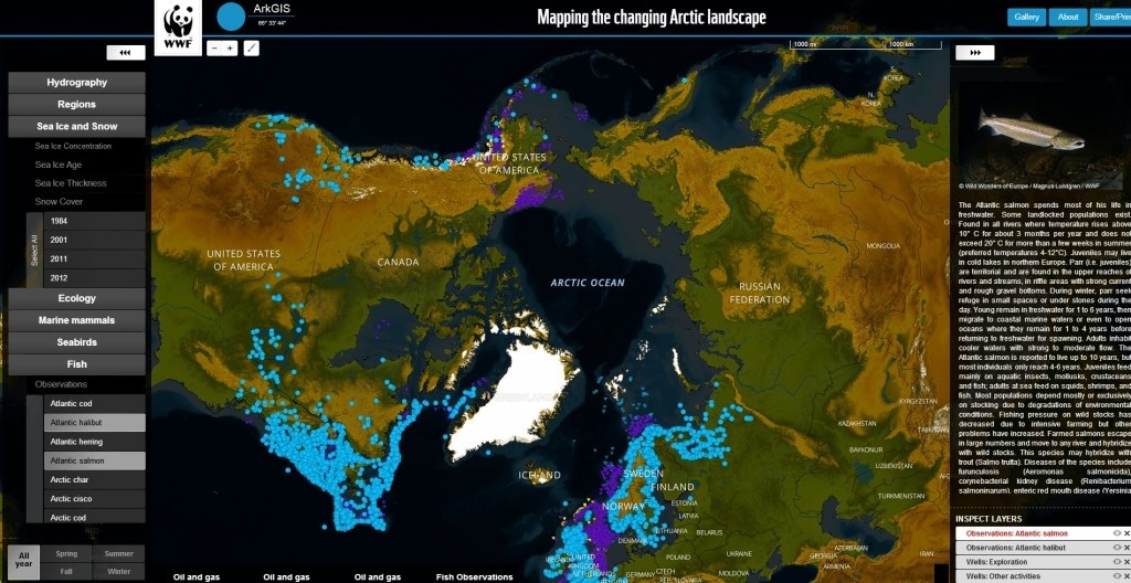 Фрагмент интерфейса сайта arkGIS