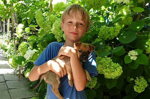 9-летний москвич создал карту культурных мест куда дети-инвалиды могут попасть без препятствий