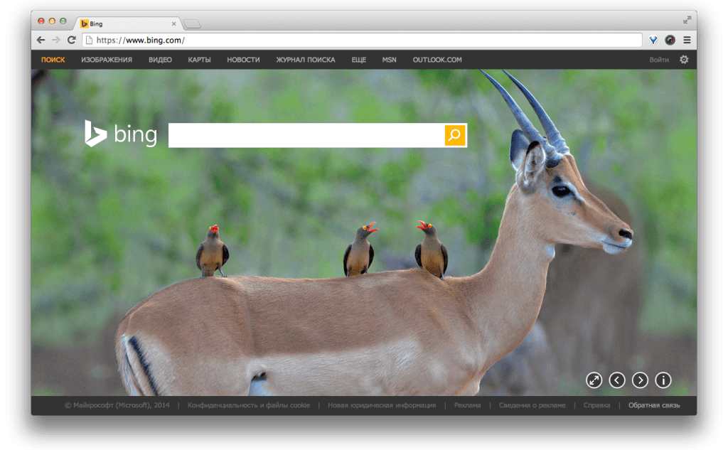Фрагмент интерфейса сайта Bing.com.