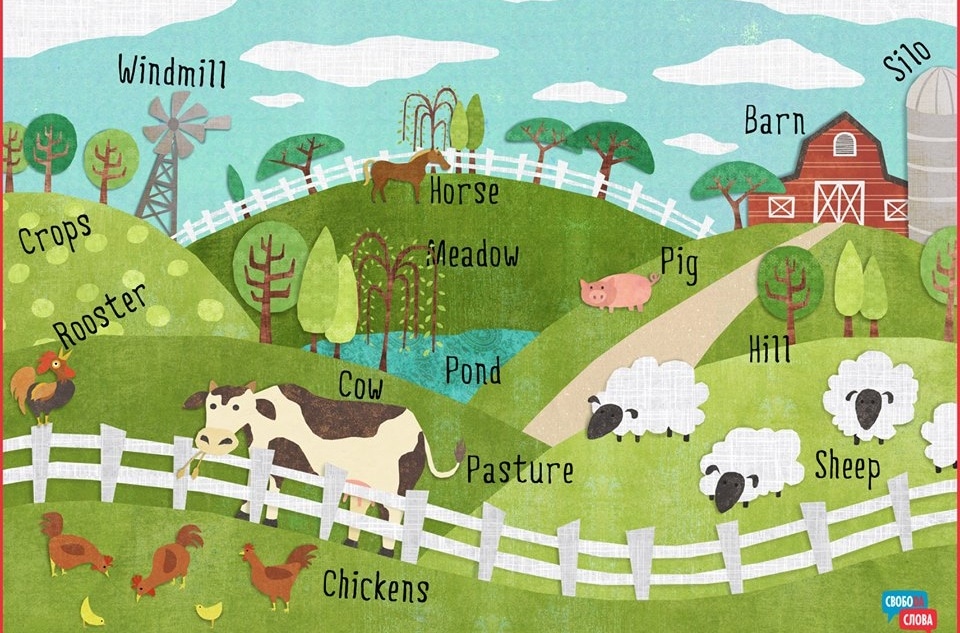 Языковой тренинговый центр «СВОБОDA СЛОВА»