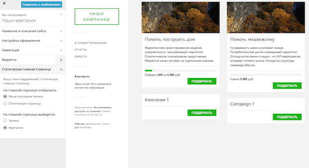 Экран настроек темы Grassroots - опция установки списка кампаний на главной