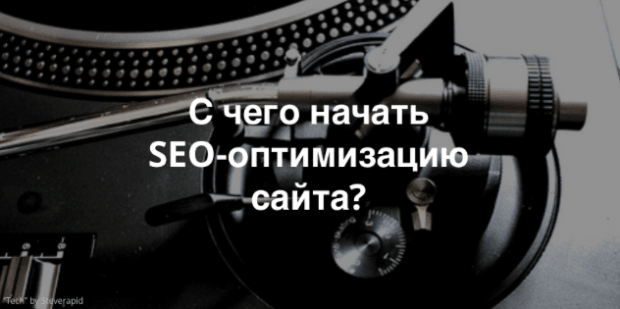 Фото: Steverapid/ CC BY 2.0/tryspruce.com