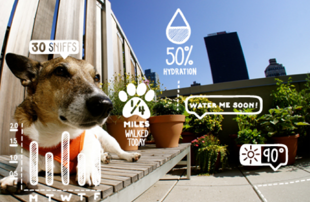 Истоник изображения: http://frenchweb.fr.