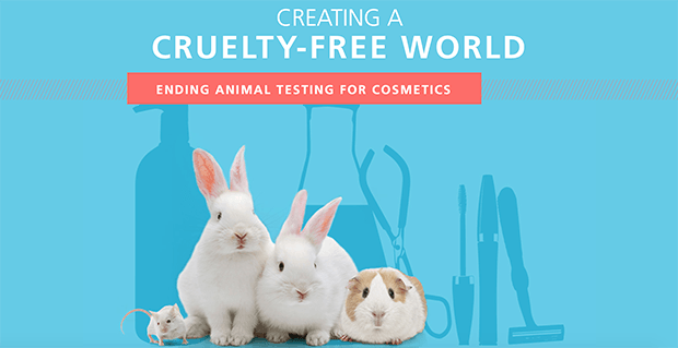 Изображение: hsi.org