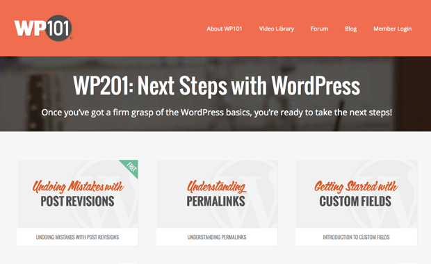 WP101 - серия WP201