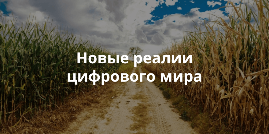 Кто такие экохакеры