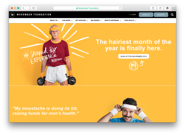 Cбор пожертвований: как усы могут привлечь деньги