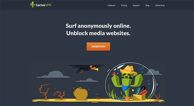 Изображение: cactusvpn.com