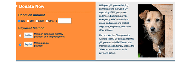 International Fund for Animal Welfare