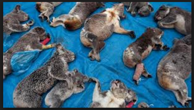 Снимок экрана 2016-03-13 в 15.03.24