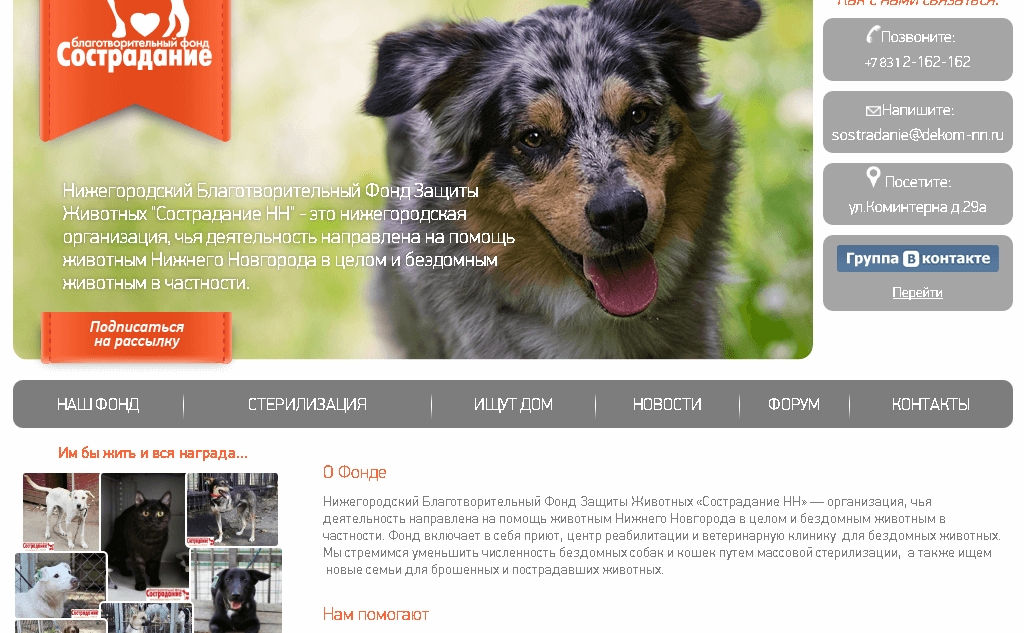 Благотворительный фонд «Сострадание НН» насчитывает 15 700 сторонников, которые неравнодушны к бездомным животным. Фрагмент сайта фонда.