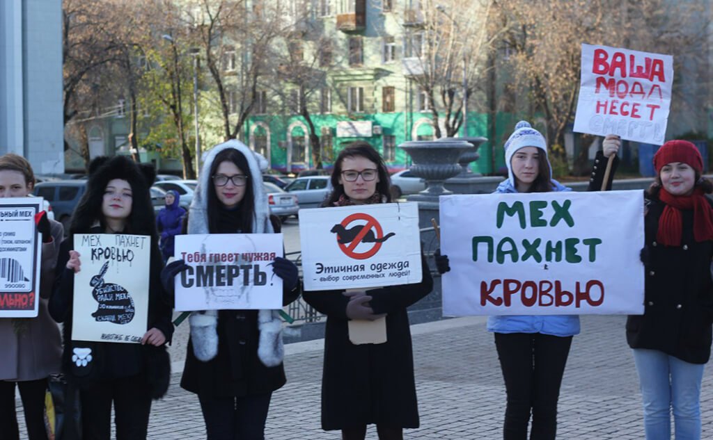 Акция «Животные - не одежда!», 4 октября 2015 года. Фото предоставлено приютом «Матроскин»