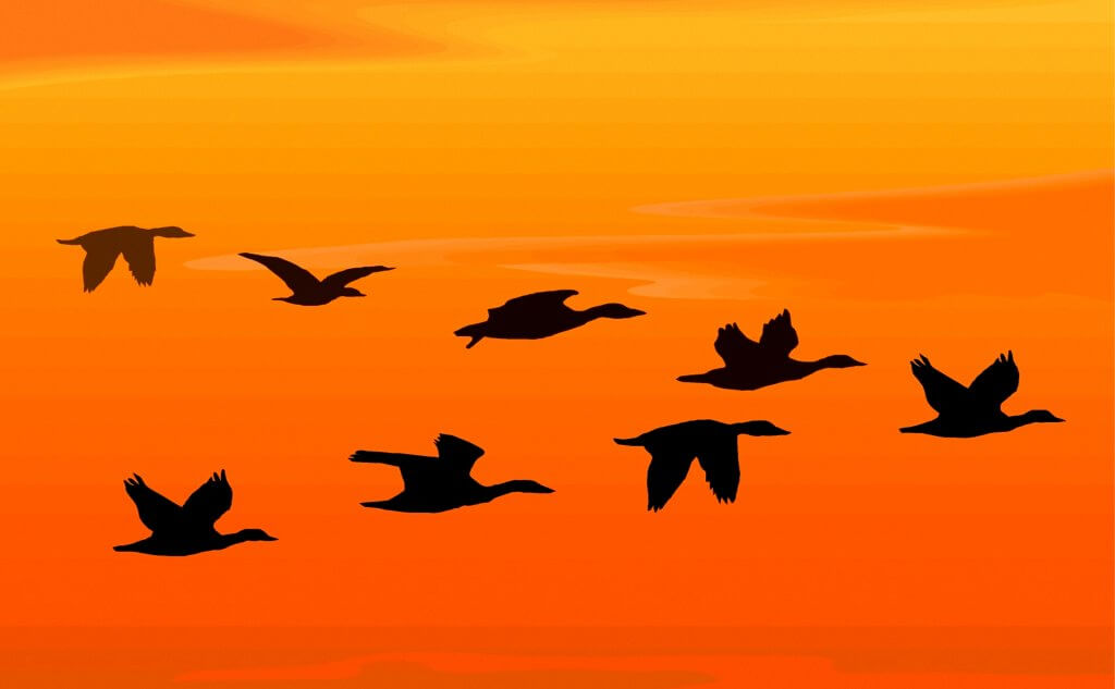 Агенты влияния в соцсетях как инструмент продвижения для НКО