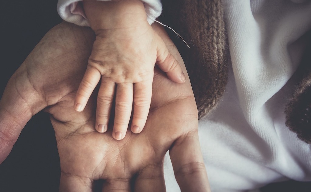 Социально значимый проект – это один из способов развития гражданского общества. Он подразумевает участие общества в разработке и принятии решений. Фото: Pexels.com (CC0).