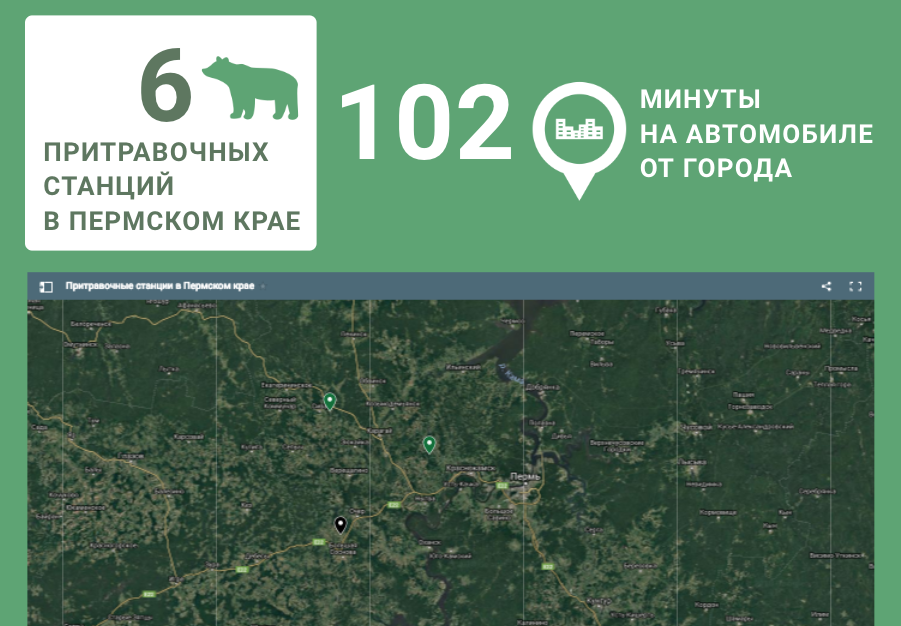 Что вы можете сделать? Поддержать проект своими пожертвованиями, чтобы авторы смогли провести полное исследование ситуации с жестоким обращением животных в Пермском крае и предоставить данные на суд общественности. Фото: фрагмент сайта проекта animalabusemap.birdsfund.ru