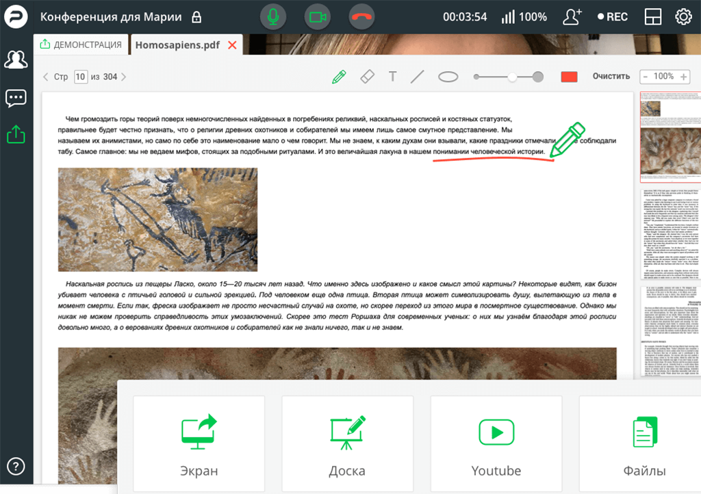 На конференции можно демонстрировать экран, делиться медиафайлами, общаться в чате. Изображение: proficonf.com.