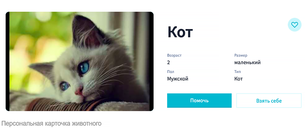 Так выглядит карточка животного, заведенная через плагин «Зооспас».