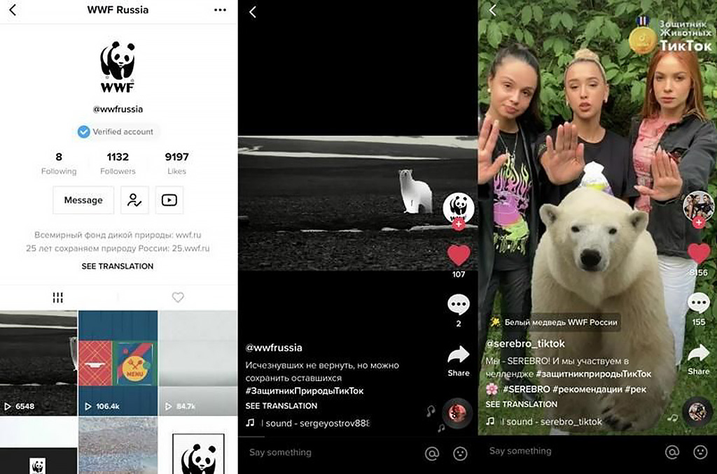 TikTok и WWF организовали челлендж #ЗащитникПриродыТикТок. Скриншот