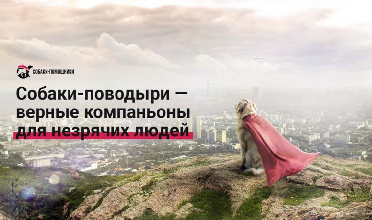 Обновленный сайт Учебно-кинологического центра «Собаки-помощники инвалидов».