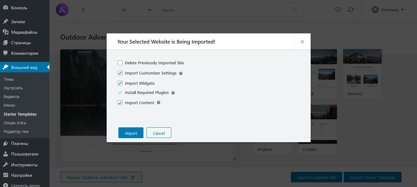 Выбор элементов для импорта шаблона. Скриншот консоли WordPress