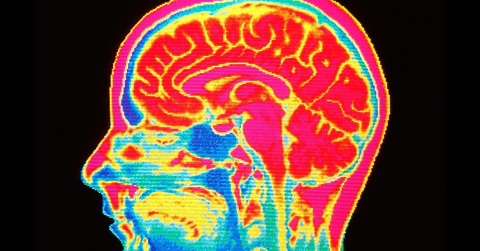 Активность нашего мозга влияет на наше поведение, а также может быть использована как данные для построения нового общества