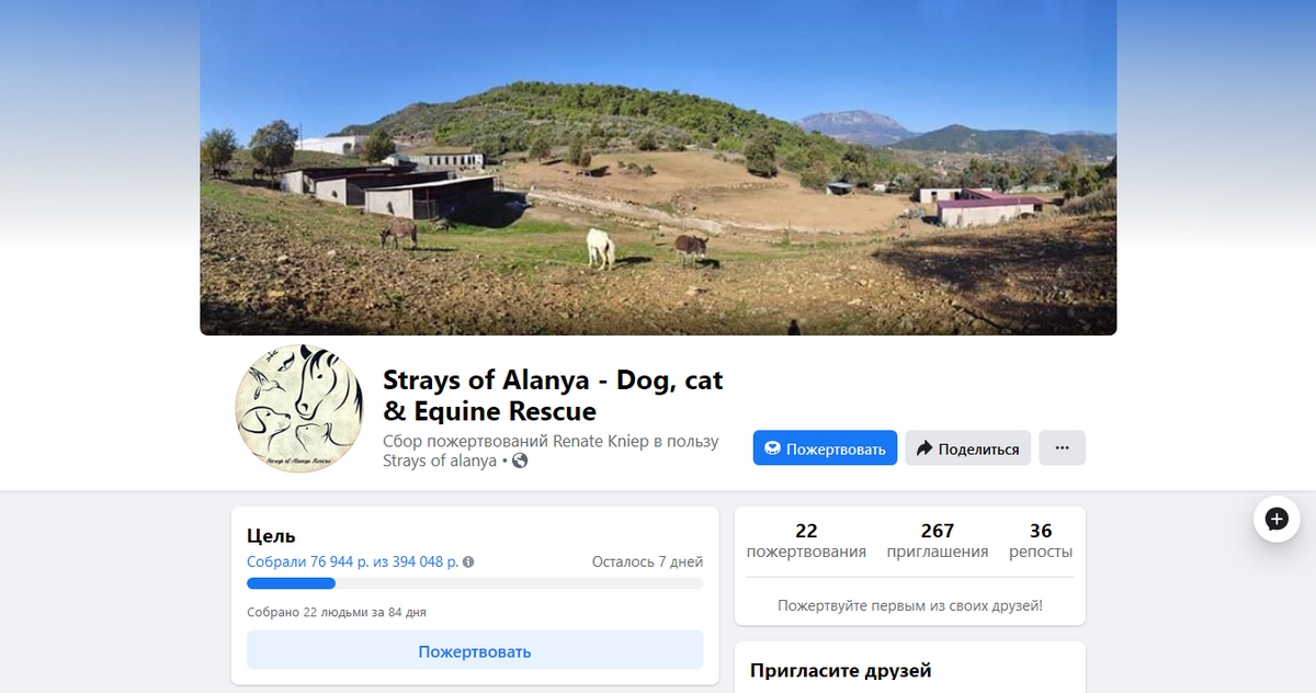 Кампания по сбору средств в пользу бездомных животных