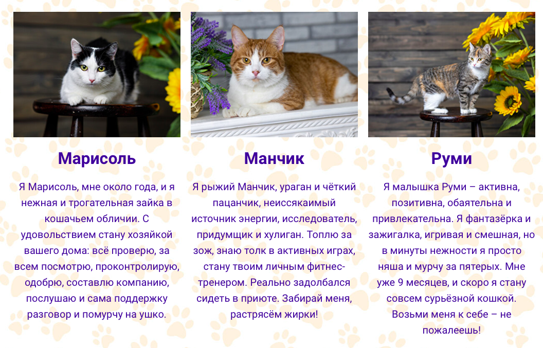 Анкеты животных. Скриншот сервиса «Виртуальный хозяин».