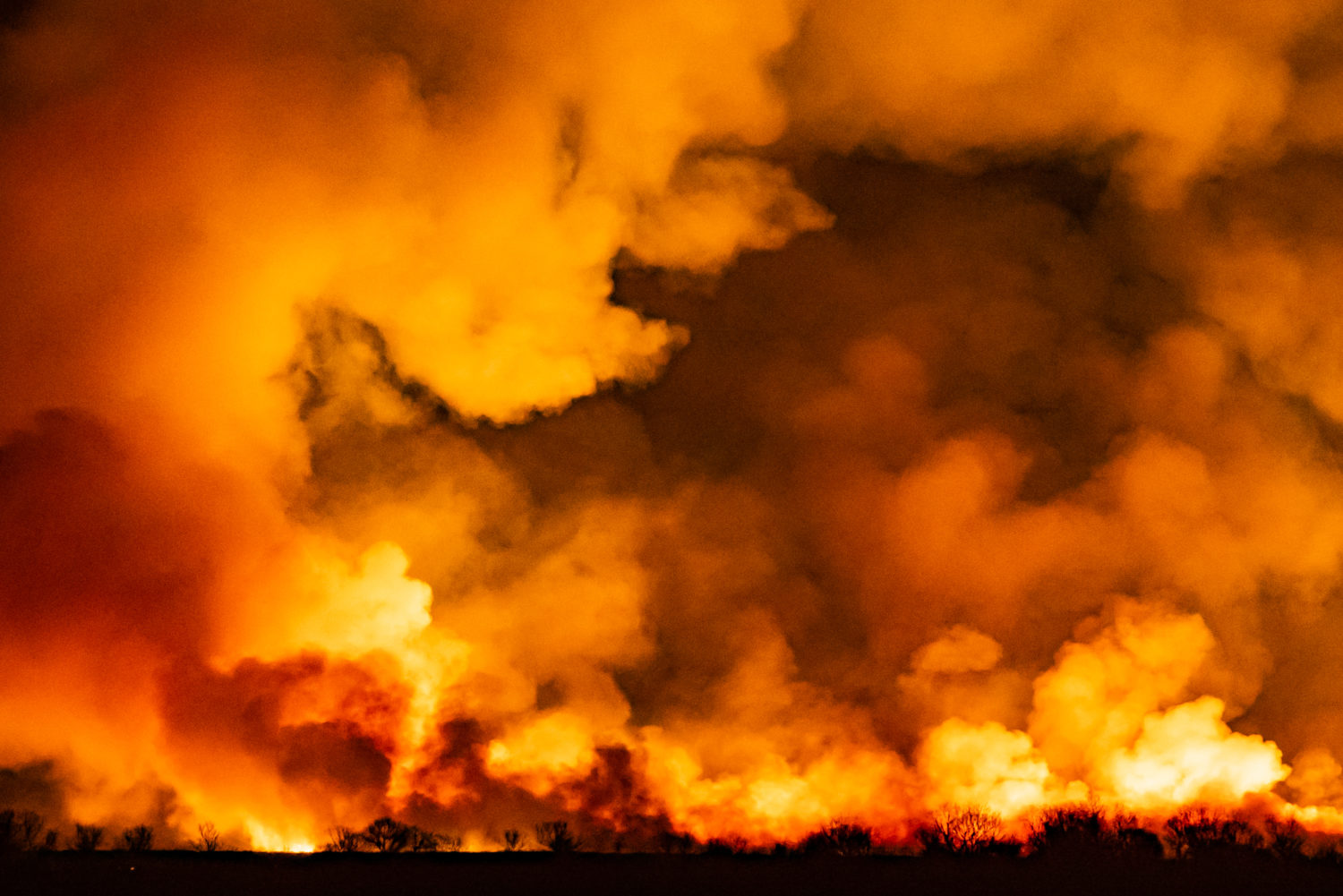 Фото: Юлия Петренко / Greenpeace.