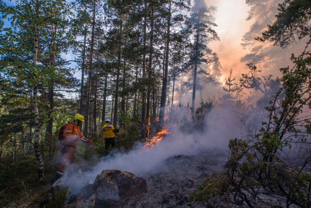 Фото Greenpeace.