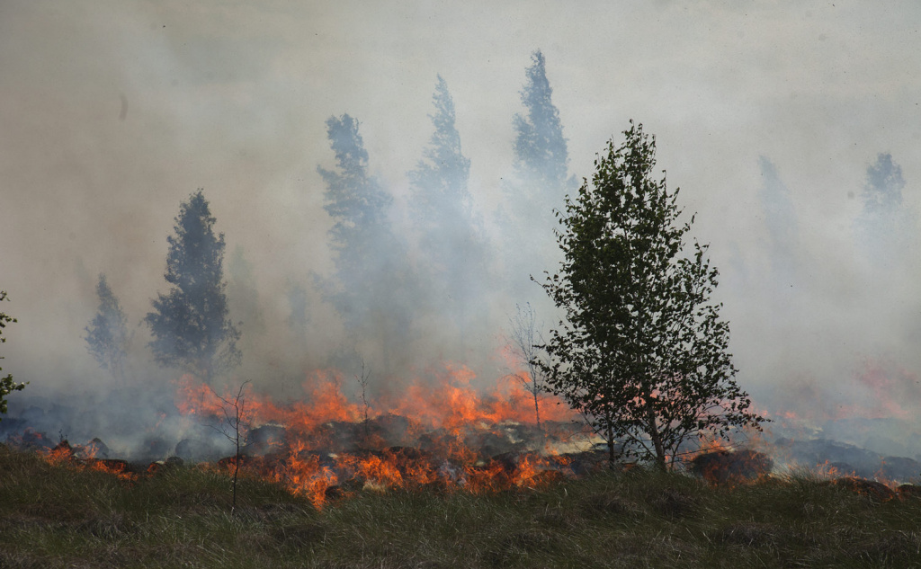 Фото: Мария Васильева / Greenpeace.
