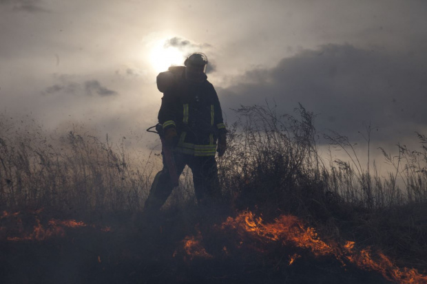 Фото: Мария Васильева / Greenpeace.