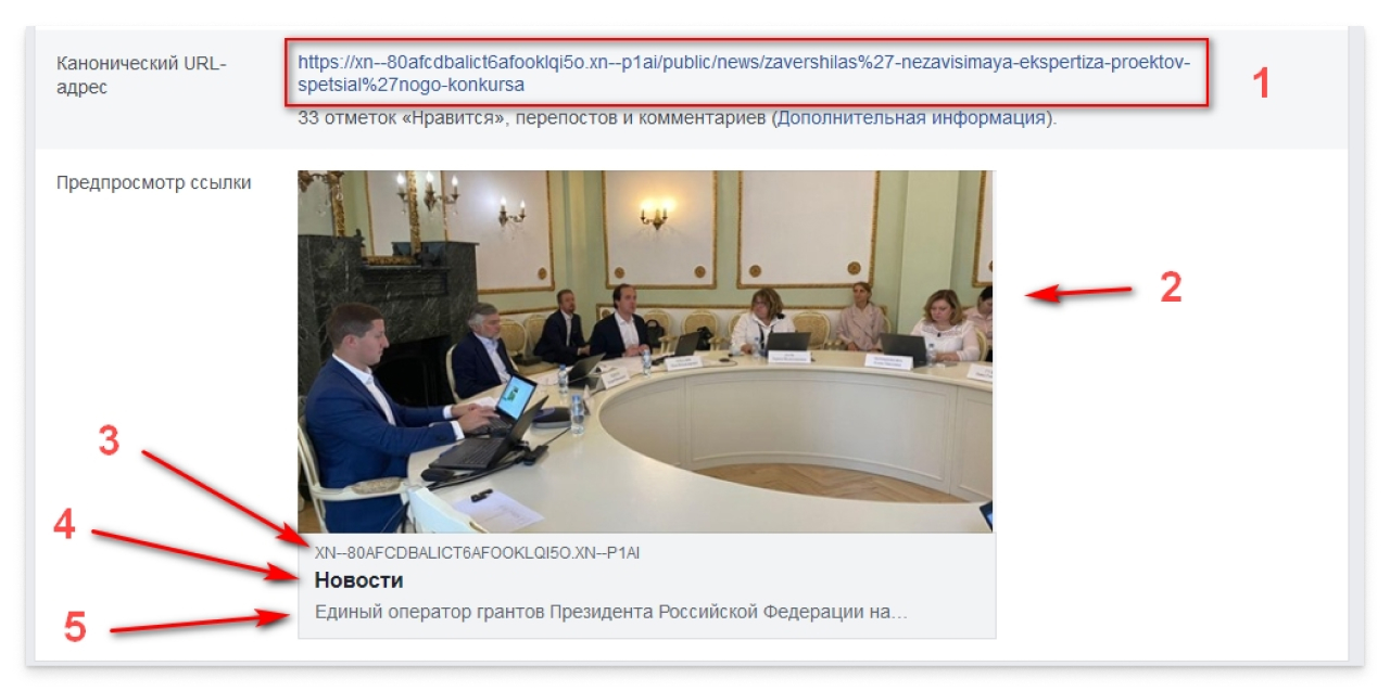 Блок предпросмотра при расшаривании в соцсетях. Скриншот сайта президентскиегранты.рф