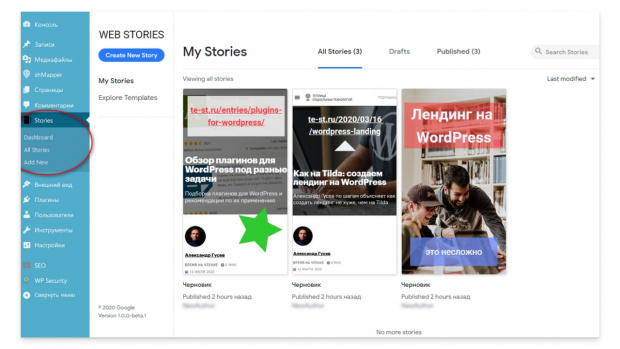Внешний вид панели управления Историями. Скриншот консоли WordPress