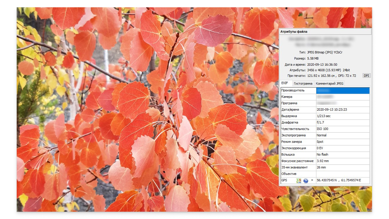 EXIF-данные из фотографии