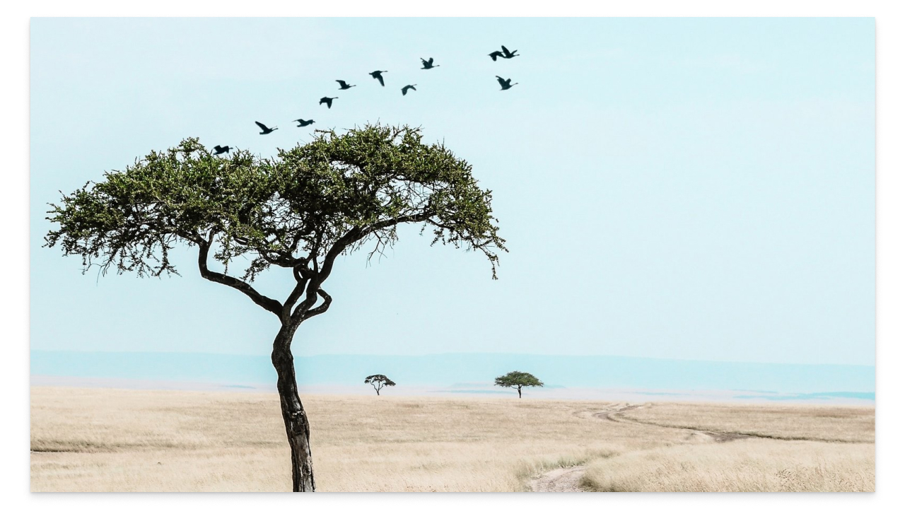 Как стереть ненужные элементы на фотографии в программе GIMP