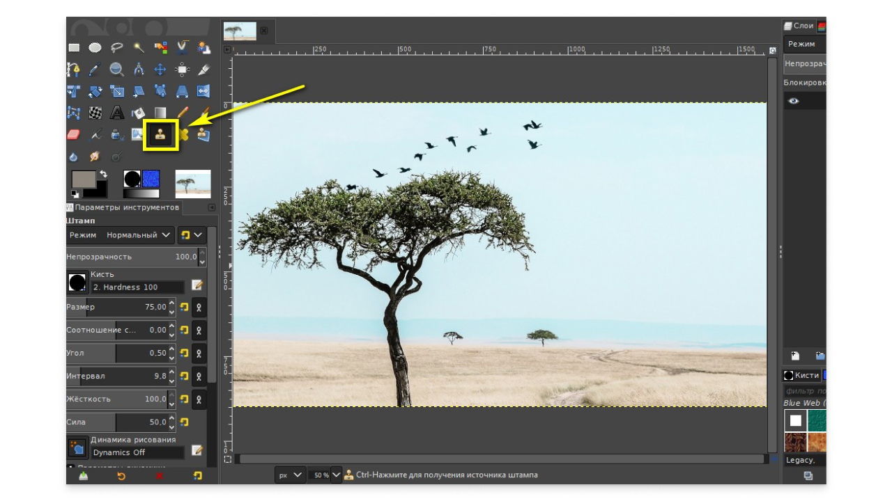 Использование инструмента Штамп в программе GIMP