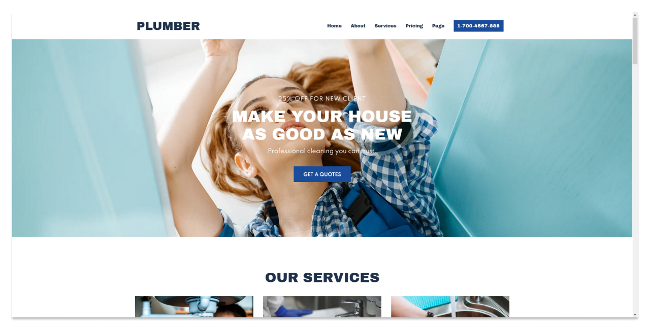 Изображение: скриншот демо-сайта на теме Sydney