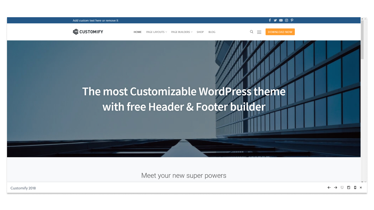 Изображение: главная страница демо-сайта на теме Customify