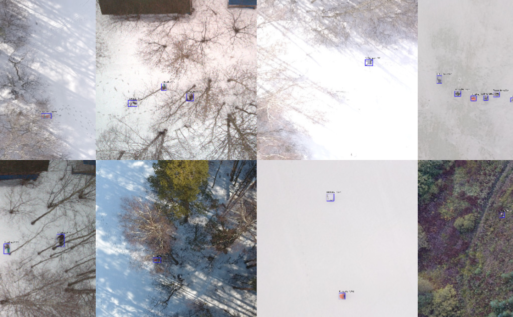 Скриншот Lacmus Foundation.