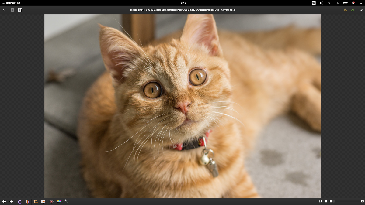 Приложение Фотографии
