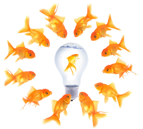 Фрагмент страницы «Россия - страна краудсорсинга» на сайте CityCelebrity